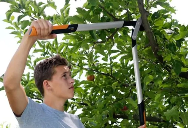 Сучкорез Fiskars PowerGearX LX92  плоскостной 1020186