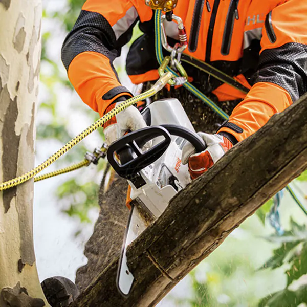 Аккумуляторная пила цепная Stihl MSA 161 T шина R 25см цепь 71 PM3 1252-200-0056